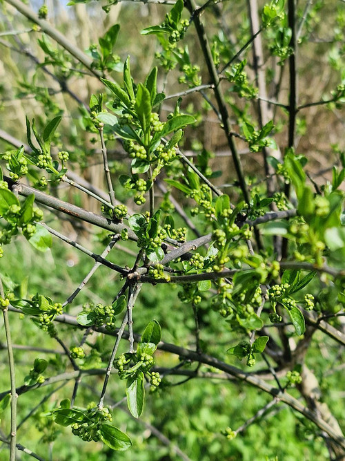 HEmTf 8bMAAdoZe?format=jpg.jpg