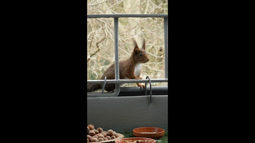 4Nc3aEKgasD2 Rzd.jpg