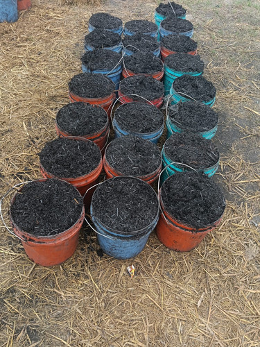 WhatsApp Image 2026 03 10 at 12.46.10 PM (4).jpg