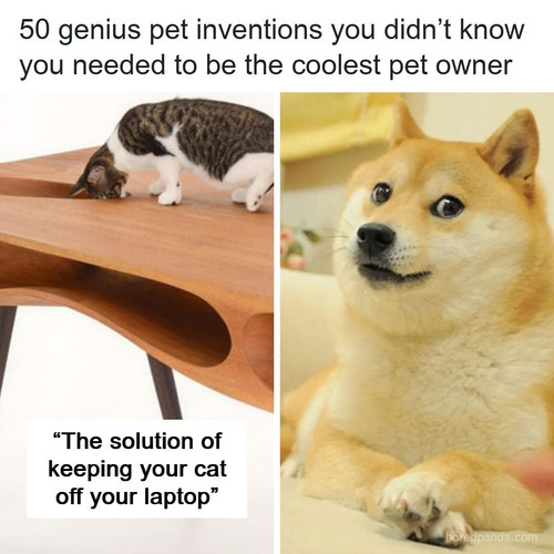 animals home design.jpg