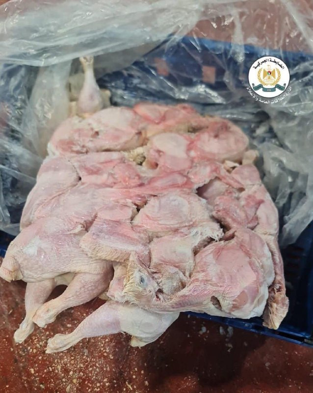 ضبط 16 طنا من الدجاج الفاسد واللحوم المجمدة الغير صالحة للاستهلاك  في جنين ....