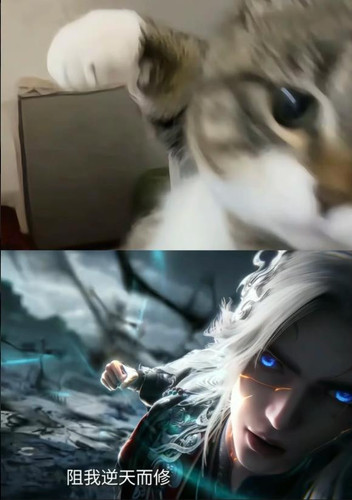 微信图片 20260327104351 127 6.jpg