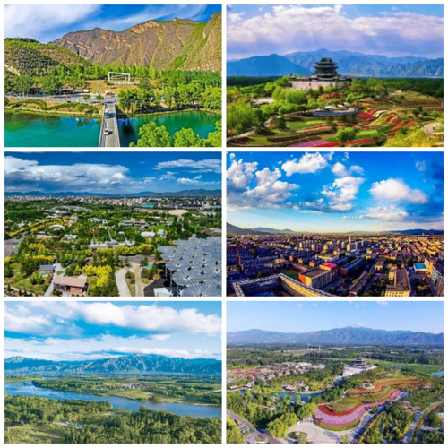 Collage 20260330 191729.jpg