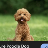 Screenshot 2026 03 30 at 13.17.10.png