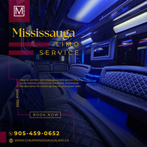 Mississauga Party Bus.jpg
