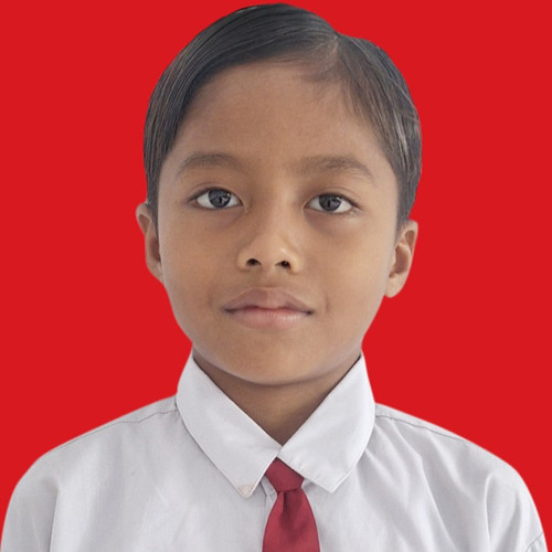 shollin 709x709.jpg