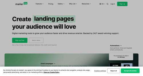 mailerlite homepage.png