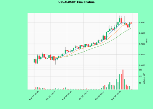 USUALUSDT.png