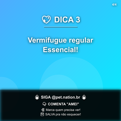 carousel 1774872011582 slide4.png