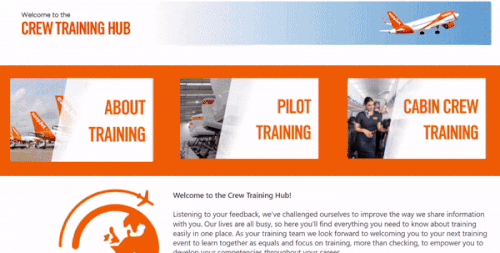 Trainer Hub Video (1).gif