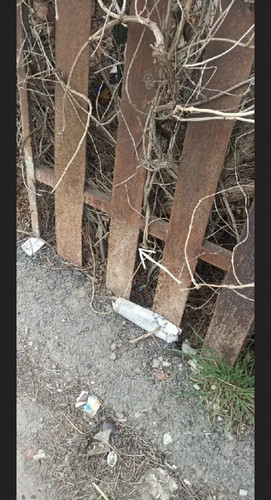 IMG 20260330 172253.jpg