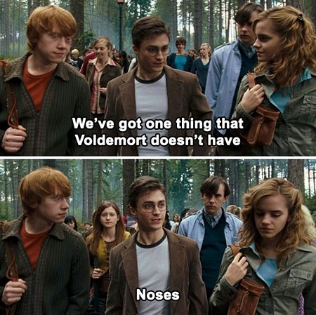 Voldemort doesn't have a nose 450.jpg