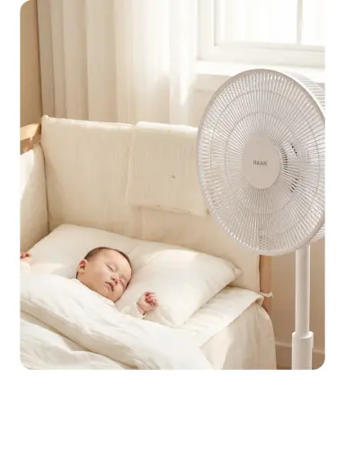 image download (25).webp