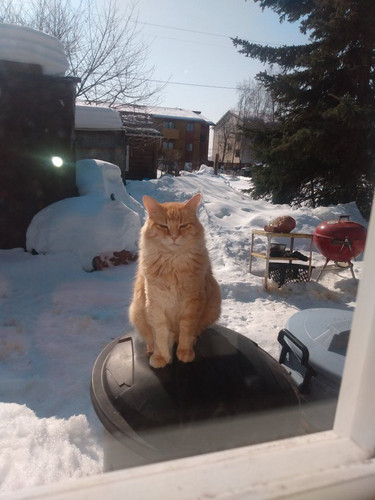 658148235 26067916046211073 3683597275293836174 n.jpg