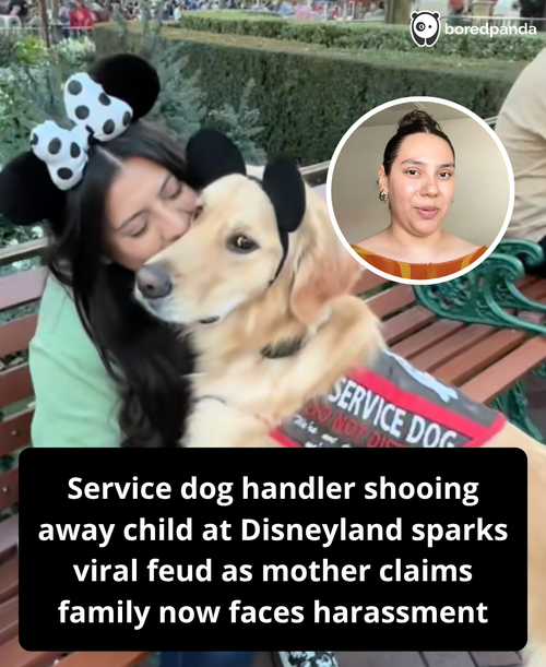 326. Service dog owner posts clip shooing away kid at Disneyland.png