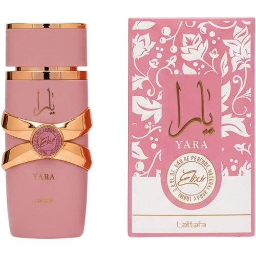 photo 2026 03 30 14 55 04 std.jpg