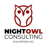 nightowl consulting logo.jpg
