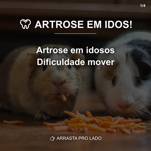 carousel 1774875608338 slide1.png