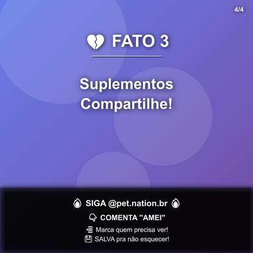 carousel 1774875609826 slide4.png