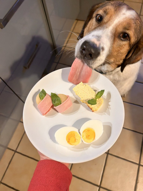 HEmP3 QacAAT8wv?format=jpg.jpg