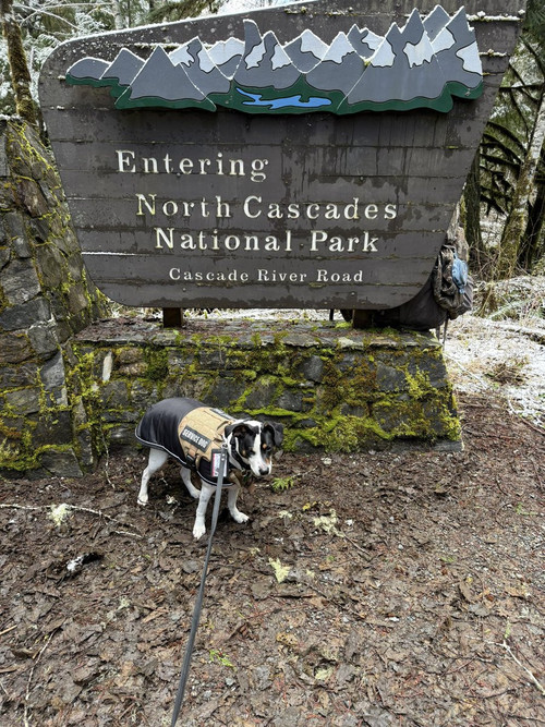 HElgT abkAAJFkM?format=jpg.jpg