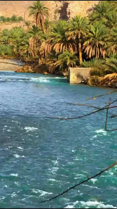 9p IbCPkbfqUAsiS.jpg