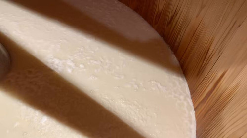 TJb1mcrMP ShBftM.jpg