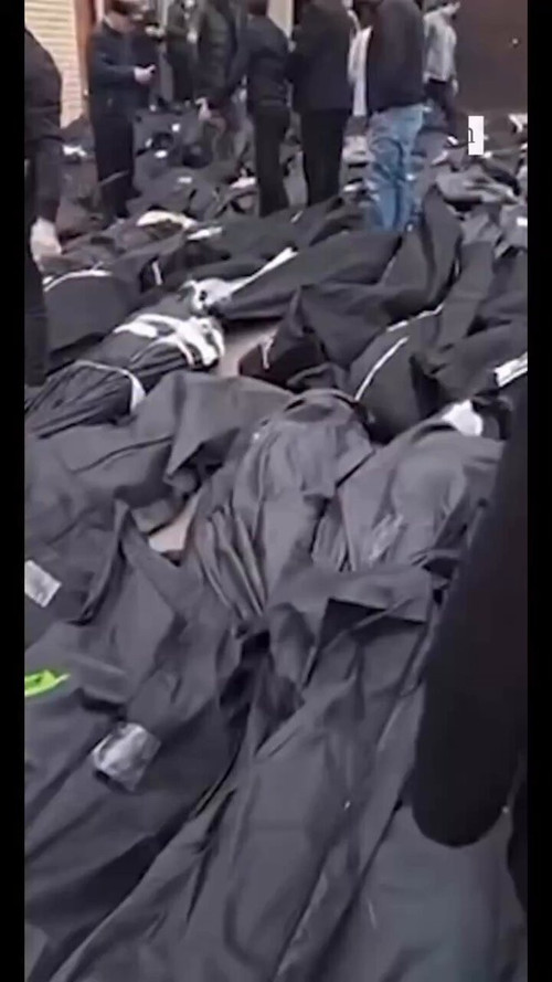 gGu2B5VqWN 7wtnC.jpg