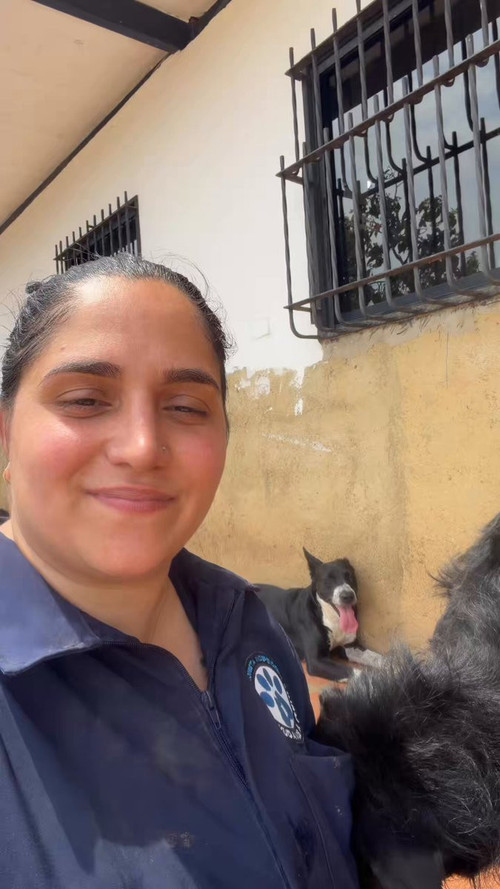 m ieceLDUDiTaB1Y.jpg