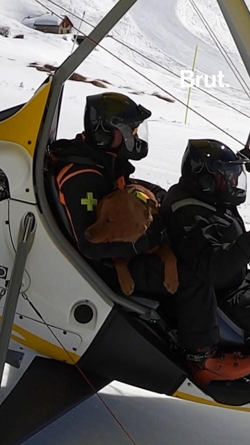 dzyHyA Q1WiqotUK.jpg