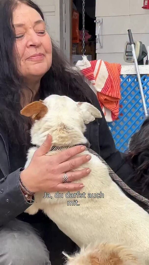 HEl6H NXQAAA Kt?format=jpg.jpg