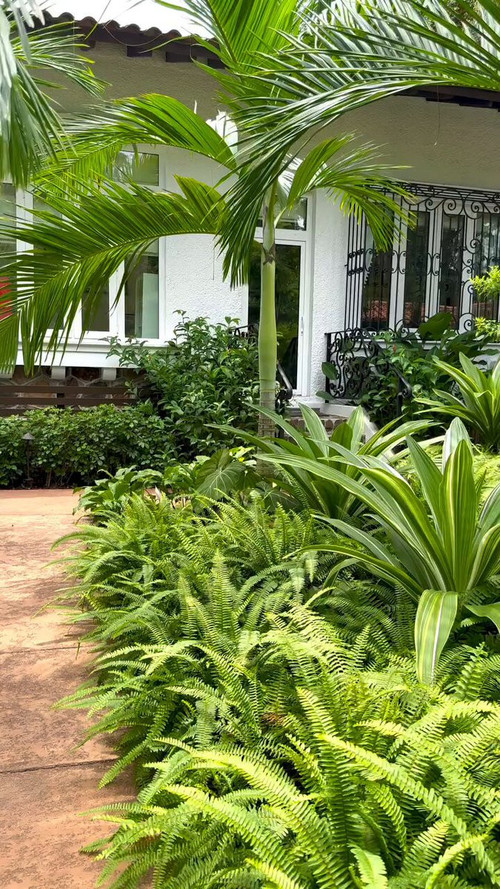 EbCcI vzyJpl4wQ0.jpg