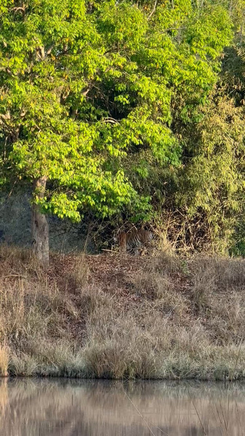 E2qAh vLHOtLKw1g.jpg