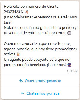 digitalizacion modeloramas.png