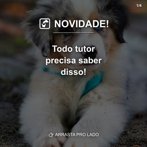 carousel 1774882802794 slide1.png