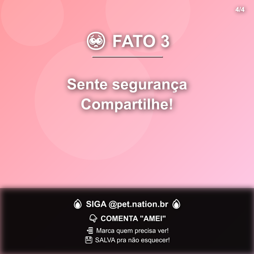 carousel 1774879209045 slide4.png