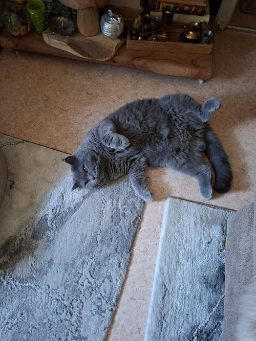 HEob JlbAAEJWt2?format=jpg.jpg