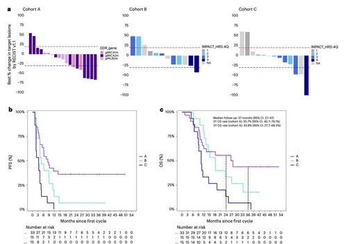 HEhDf vXUAAwX4x?format=jpg.jpg