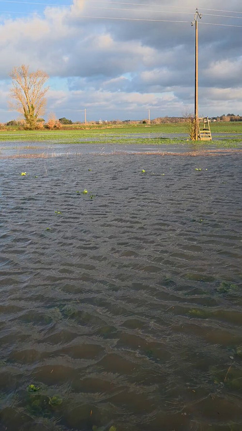 34QeFlVyss C8Itj.jpg