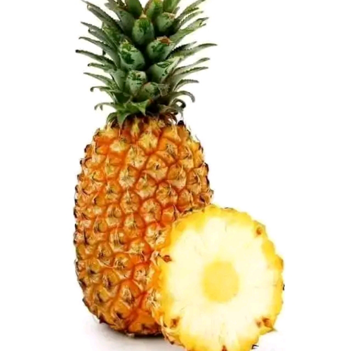 temp.png