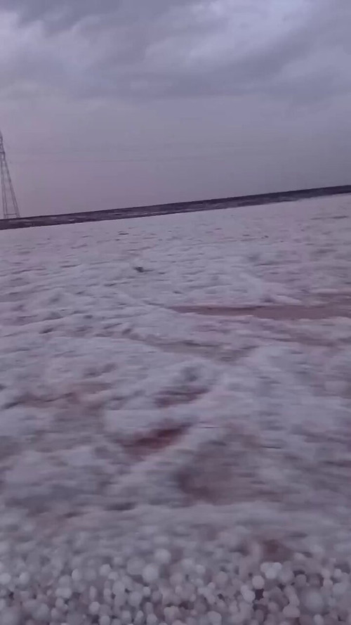 XMPoS NEUL9FEFWz.jpg