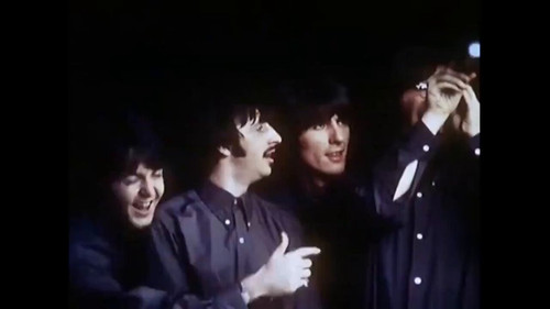 rwfWWYYHSrLT3W5 .jpg