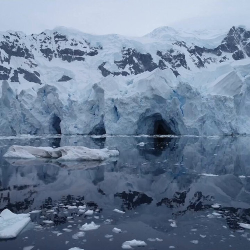 v0OcJw7lmmhXTA0 .jpg