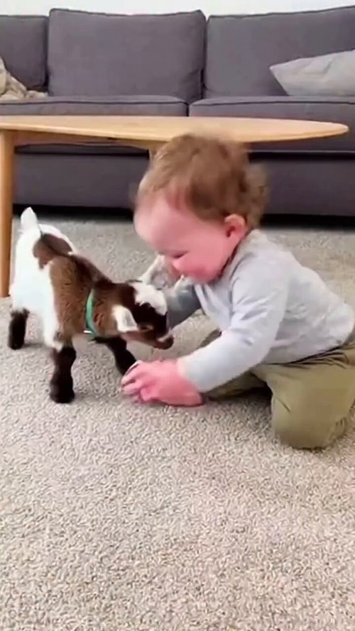 LFfT8 j8QDFJ5zZo.jpg