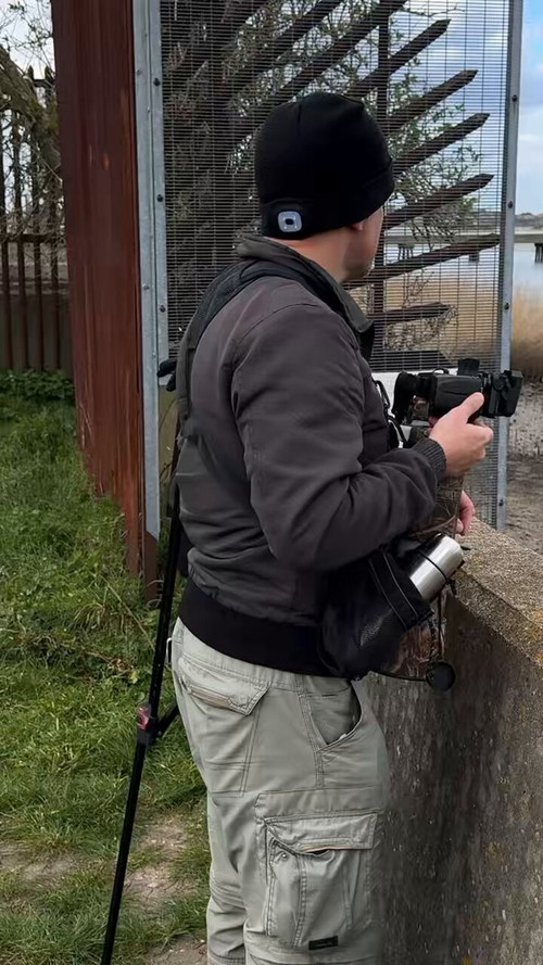 2lh q3PViCDjCAi2.jpg