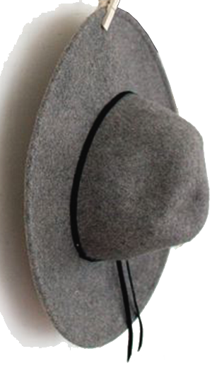 hat.png