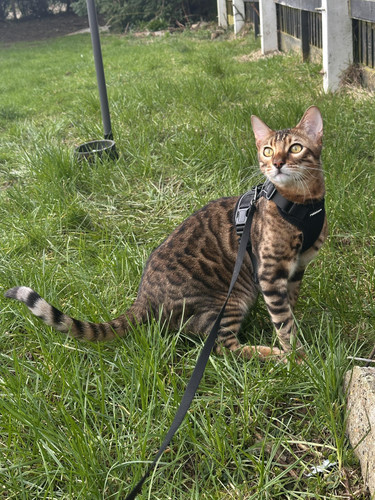 658958207 3002423946623377 4661374333145381633 n.jpg