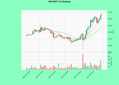 OPUSDT.png