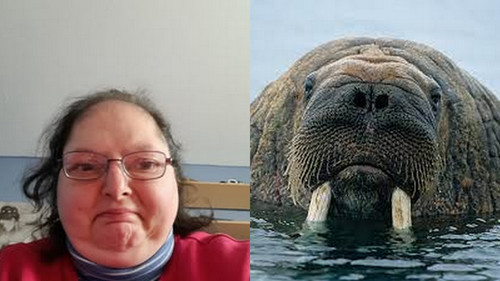 VUUOIh2.jpg