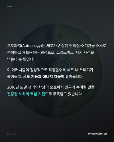ep04 s1 detail v2.png
